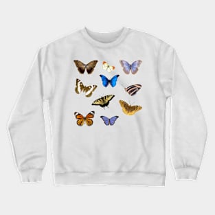 Butterfly pack Crewneck Sweatshirt